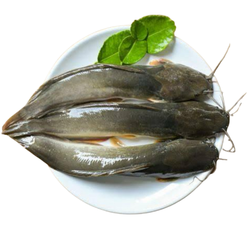 Lele Marinasi Bumbu Kuning